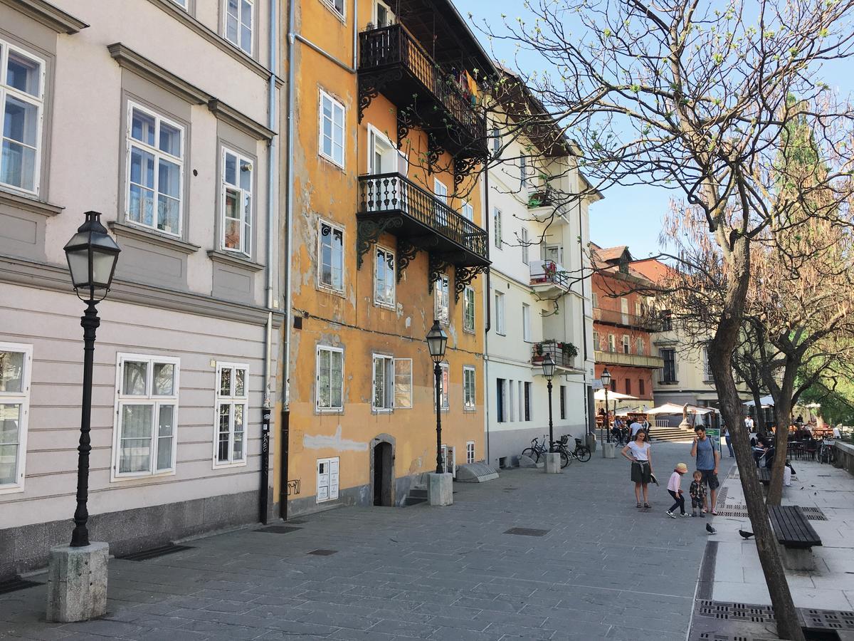River And Castle View Apartment Rose Tour As Ljubljana Exterior foto