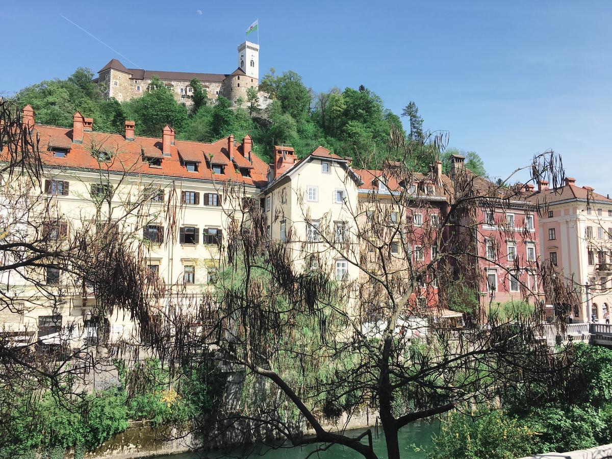 River And Castle View Apartment Rose Tour As Ljubljana Exterior foto